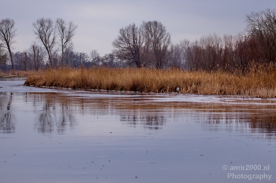 Winter_scenery_north_holland_landscape_nederland_Photography_086_Canon_EOS_5D_Mark_IV.JPG