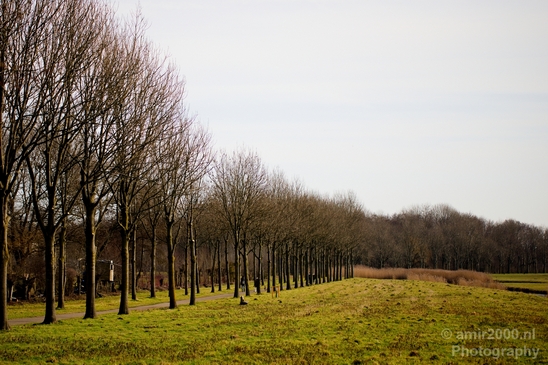 Winter_scenery_north_holland_landscape_nederland_Photography_088_Canon_EOS_5D_Mark_IV.JPG