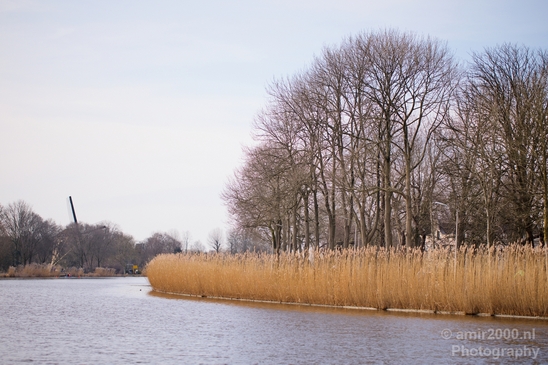 Winter_scenery_north_holland_landscape_nederland_Photography_090_Canon_EOS_5D_Mark_IV.JPG