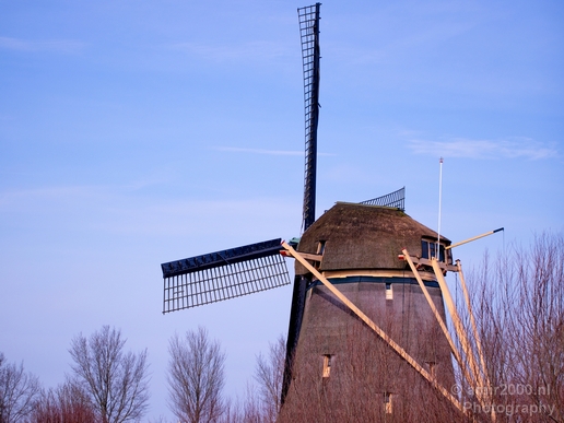 Winter_scenery_north_holland_landscape_nederland_Photography_092_Canon_EOS_5D_Mark_IV.JPG