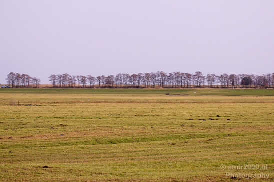 Winter_scenery_north_holland_landscape_nederland_Photography_114_Canon_EOS_5D_Mark_IV.JPG