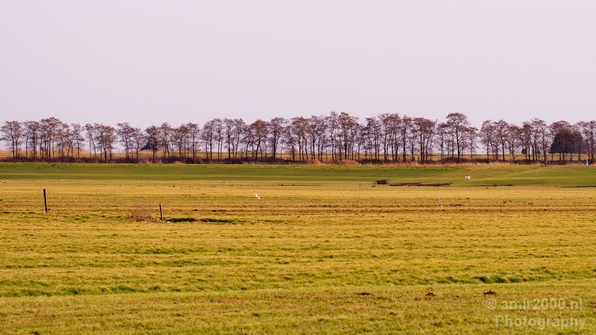 Winter_scenery_north_holland_landscape_nederland_Photography_115_Canon_EOS_5D_Mark_IV.JPG