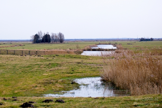 Winter_scenery_north_holland_landscape_nederland_Photography_119_Canon_EOS_5D_Mark_IV.JPG