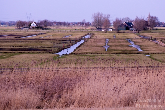 Winter_scenery_north_holland_landscape_nederland_Photography_121_Canon_EOS_5D_Mark_IV.JPG