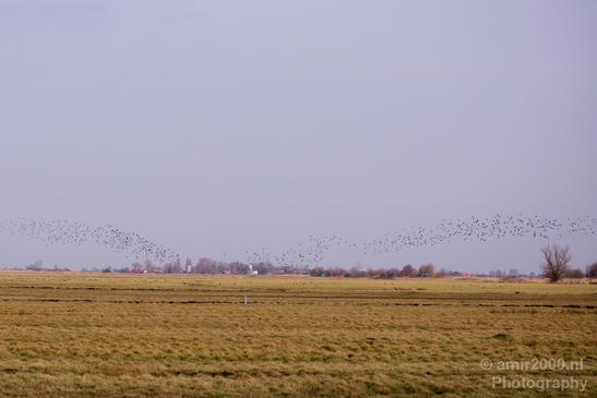Winter_scenery_north_holland_landscape_nederland_Photography_124_Canon_EOS_5D_Mark_IV.JPG