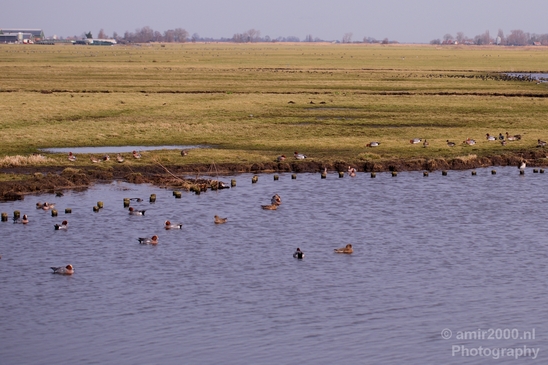 Winter_scenery_north_holland_landscape_nederland_Photography_126_Canon_EOS_5D_Mark_IV.JPG