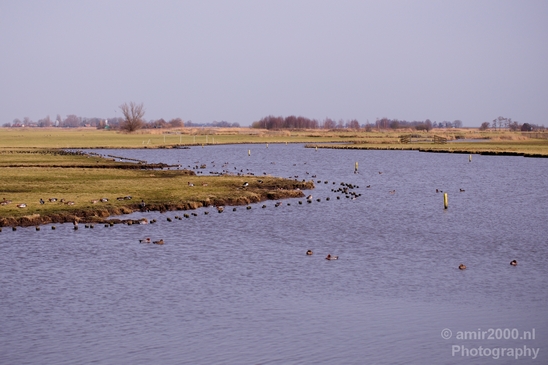 Winter_scenery_north_holland_landscape_nederland_Photography_127_Canon_EOS_5D_Mark_IV.JPG