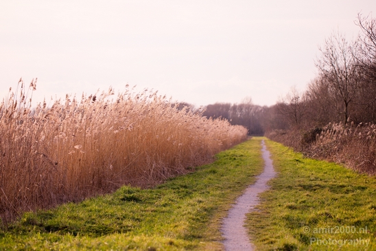 Winter_scenery_north_holland_landscape_nederland_Photography_130_Canon_EOS_5D_Mark_IV.JPG