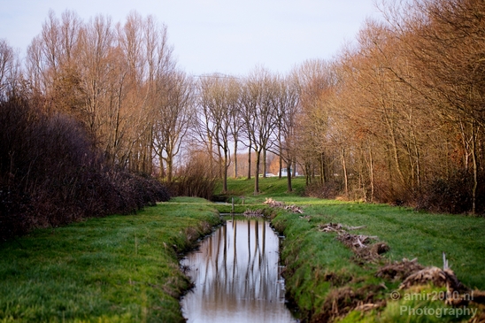 Winter_scenery_north_holland_landscape_nederland_Photography_132_Canon_EOS_5D_Mark_IV.JPG