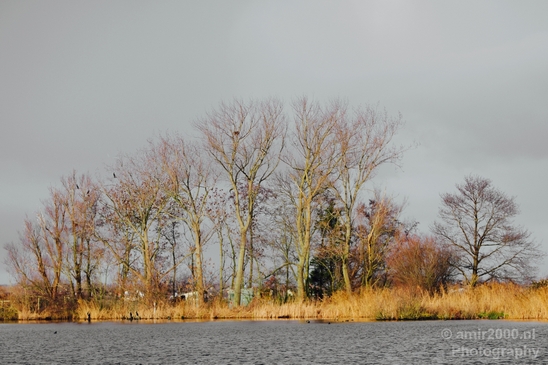 Winter_scenery_north_holland_landscape_nederland_Photography_142_Canon_EOS_5D_Mark_IV.JPG