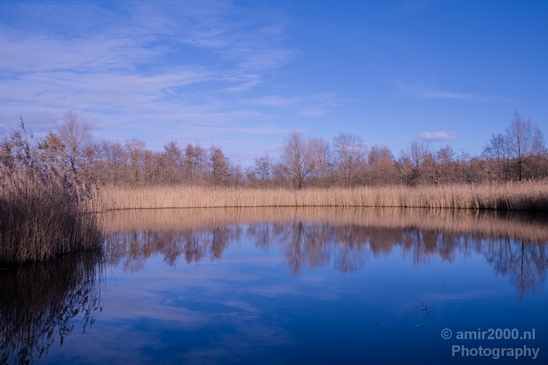 Winter_scenery_north_holland_landscape_nederland_Photography_156_Canon_EOS_5D_Mark_IV.JPG