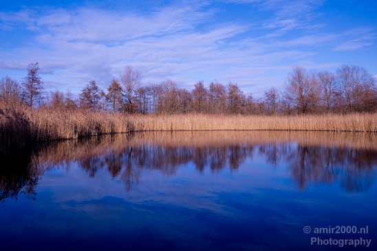 Winter_scenery_north_holland_landscape_nederland_Photography_157_Canon_EOS_5D_Mark_IV.JPG