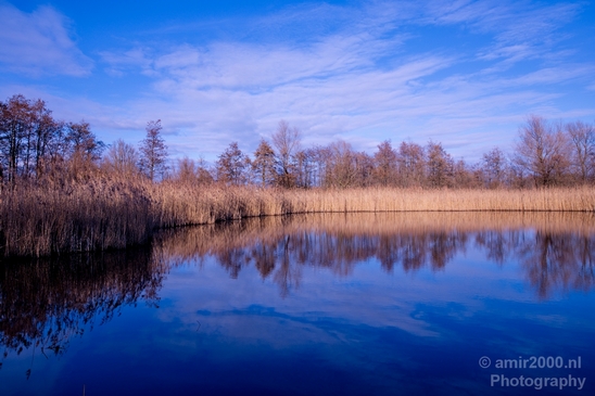 Winter_scenery_north_holland_landscape_nederland_Photography_158_Canon_EOS_5D_Mark_IV.JPG