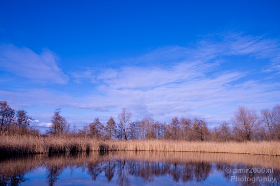 Winter_scenery_north_holland_landscape_nederland_Photography_159_Canon_EOS_5D_Mark_IV.JPG