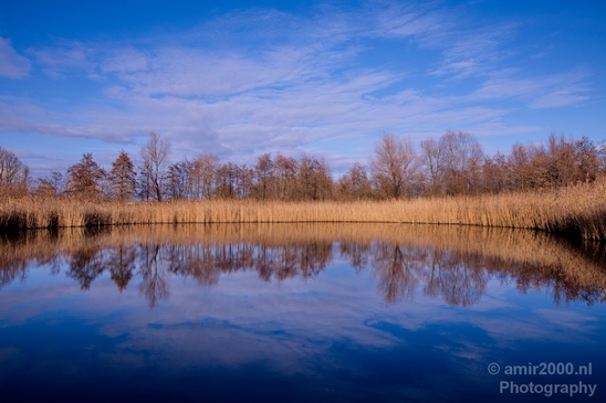 Winter_scenery_north_holland_landscape_nederland_Photography_161_Canon_EOS_5D_Mark_IV.JPG