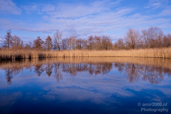 Winter_scenery_north_holland_landscape_nederland_Photography_162_Canon_EOS_5D_Mark_IV.JPG