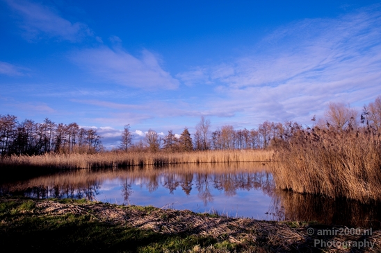 Winter_scenery_north_holland_landscape_nederland_Photography_164_Canon_EOS_5D_Mark_IV.JPG