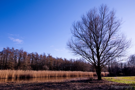 Winter_scenery_north_holland_landscape_nederland_Photography_169_Canon_EOS_5D_Mark_IV.JPG