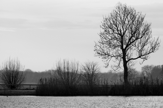 Winter_scenery_north_holland_landscape_nederland_Photography_170_Canon_EOS_5D_Mark_IV.JPG
