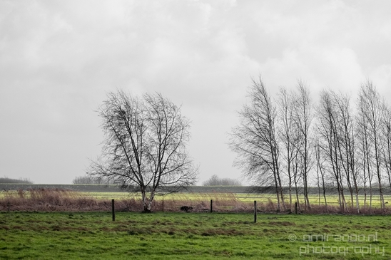 Winter_scenery_north_holland_landscape_nederland_Photography_171_Canon_EOS_5D_Mark_IV.JPG
