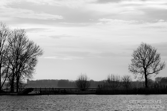 Winter_scenery_north_holland_landscape_nederland_Photography_172_Canon_EOS_5D_Mark_IV.JPG