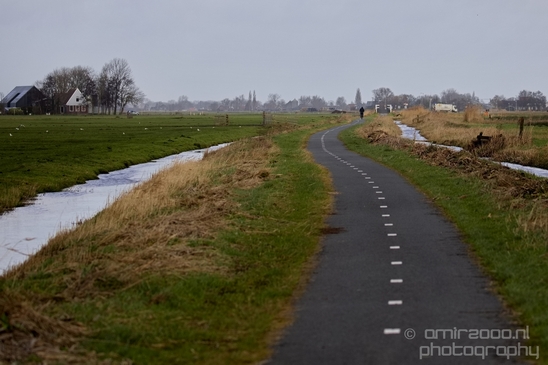 Winter_scenery_north_holland_landscape_nederland_Photography_175_Canon_EOS_5D_Mark_IV.JPG