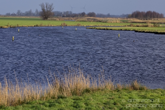 Winter_scenery_north_holland_landscape_nederland_Photography_184_Canon_EOS_5D_Mark_IV.JPG