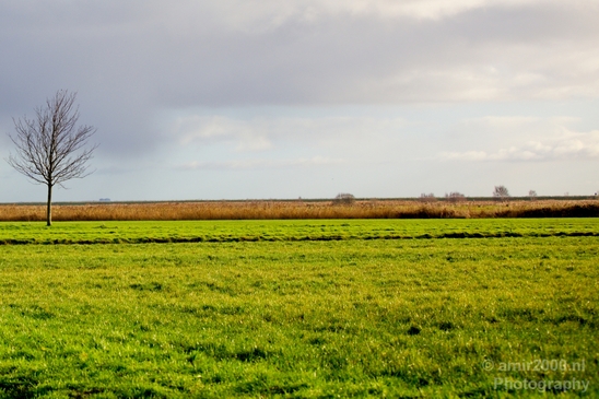 Winter_scenery_north_holland_landscape_nederland_Photography_186_Canon_EOS_5D_Mark_IV.JPG