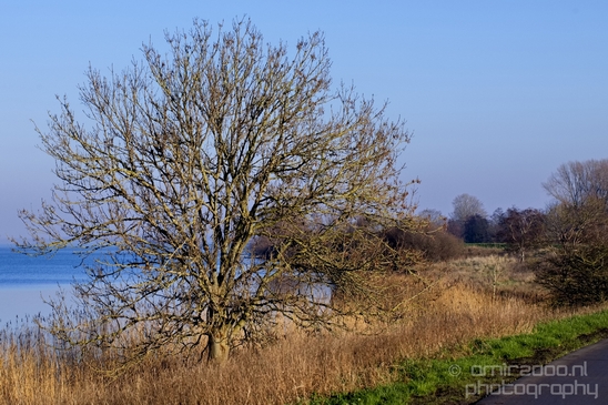 Winter_scenery_north_holland_landscape_nederland_Photography_200_Canon_EOS_5D_Mark_IV.JPG