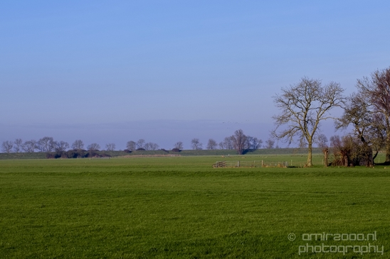 Winter_scenery_north_holland_landscape_nederland_Photography_205_Canon_EOS_5D_Mark_IV.JPG