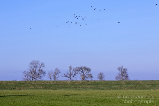 Winter_scenery_north_holland_landscape_nederland_Photography_206_Canon_EOS_5D_Mark_IV.JPG