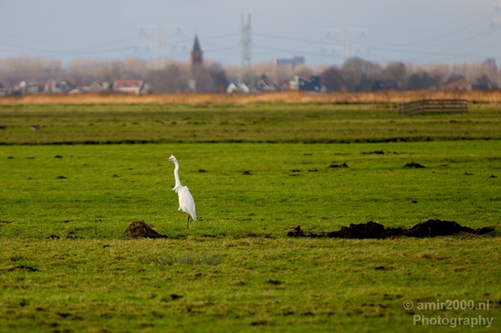 Winter_scenery_north_holland_landscape_nederland_Photography_209_Canon_EOS_5D_Mark_IV.JPG