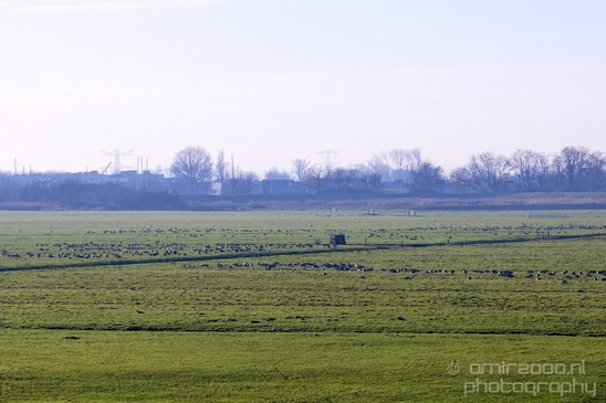 Winter_scenery_north_holland_landscape_nederland_Photography_211_Canon_EOS_5D_Mark_IV.JPG