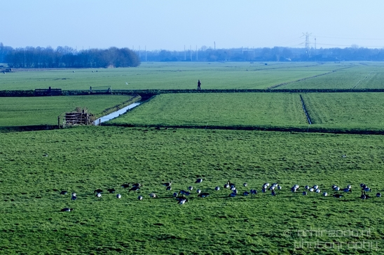 Winter_scenery_north_holland_landscape_nederland_Photography_215_Canon_EOS_5D_Mark_IV.JPG