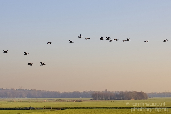 Winter_scenery_north_holland_landscape_nederland_Photography_217_Canon_EOS_5D_Mark_IV.JPG