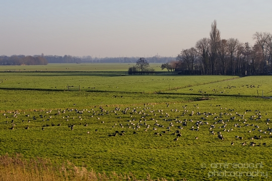 Winter_scenery_north_holland_landscape_nederland_Photography_221_Canon_EOS_5D_Mark_IV.JPG