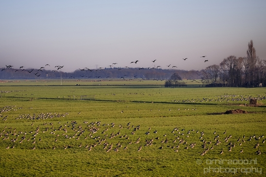 Winter_scenery_north_holland_landscape_nederland_Photography_224_Canon_EOS_5D_Mark_IV.JPG