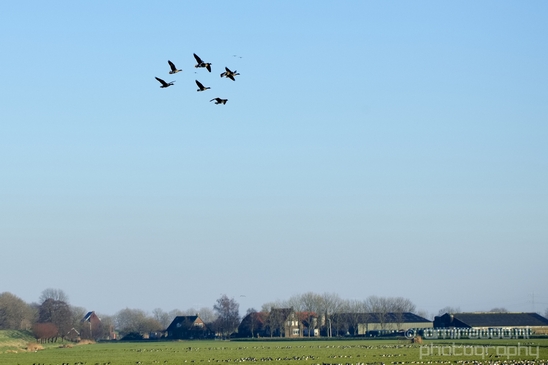 Winter_scenery_north_holland_landscape_nederland_Photography_228_Canon_EOS_5D_Mark_IV.JPG