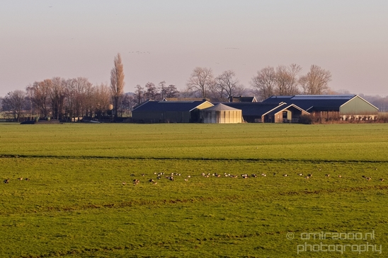 Winter_scenery_north_holland_landscape_nederland_Photography_231_Canon_EOS_5D_Mark_IV.JPG