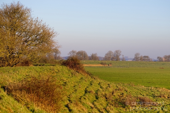 Winter_scenery_north_holland_landscape_nederland_Photography_234_Canon_EOS_5D_Mark_IV.JPG
