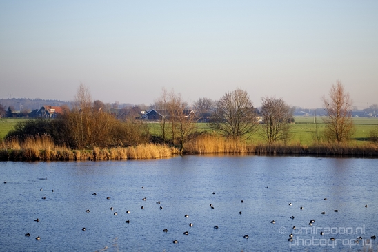 Winter_scenery_north_holland_landscape_nederland_Photography_236_Canon_EOS_5D_Mark_IV.JPG