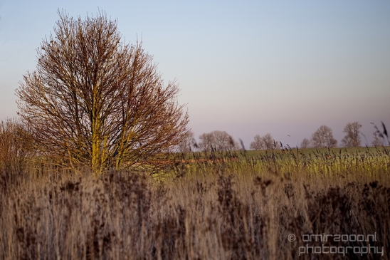 Winter_scenery_north_holland_landscape_nederland_Photography_237_Canon_EOS_5D_Mark_IV.JPG