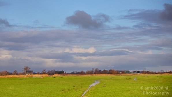 Winter_scenery_north_holland_landscape_nederland_Photography_252_Canon_EOS_5D_Mark_IV.JPG