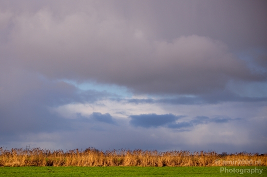 Winter_scenery_north_holland_landscape_nederland_Photography_263_Canon_EOS_5D_Mark_IV.JPG