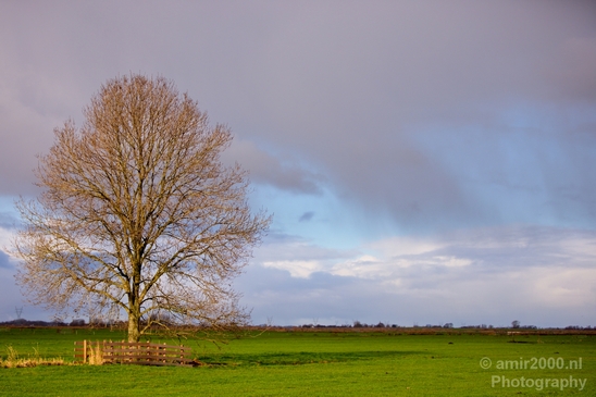 Winter_scenery_north_holland_landscape_nederland_Photography_273_Canon_EOS_5D_Mark_IV.JPG