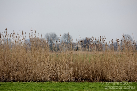 Winter_scenery_north_holland_landscape_nederland_Photography_281_Canon_EOS_5D_Mark_IV.JPG