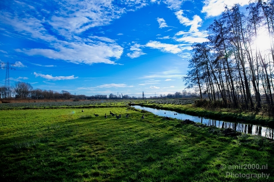 Winter_scenery_north_holland_landscape_nederland_Photography_288_Canon_EOS_5D_Mark_IV.JPG