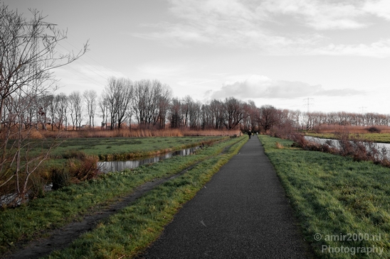 Winter_scenery_north_holland_landscape_nederland_Photography_291_Canon_EOS_5D_Mark_IV.JPG