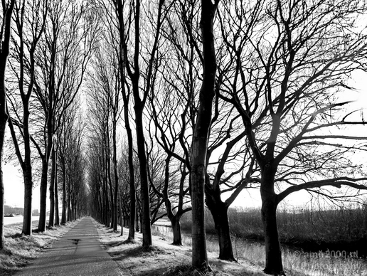 Winter_scenery_north_holland_landscape_nederland_Photography_292_Canon_EOS_5D_Mark_IV.JPG