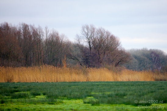 Winter_scenery_north_holland_landscape_nederland_Photography_297_Canon_EOS_5D_Mark_IV.JPG